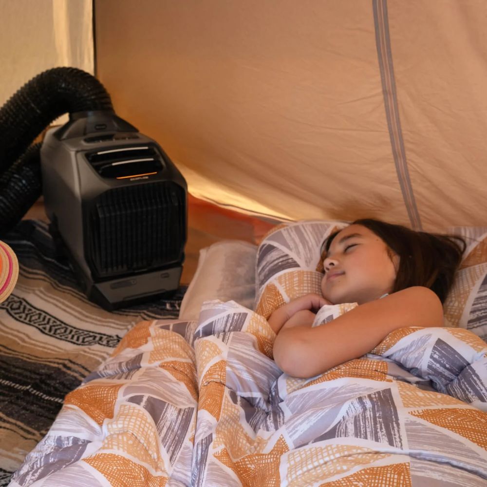 Ecoflow Wave 3 nap