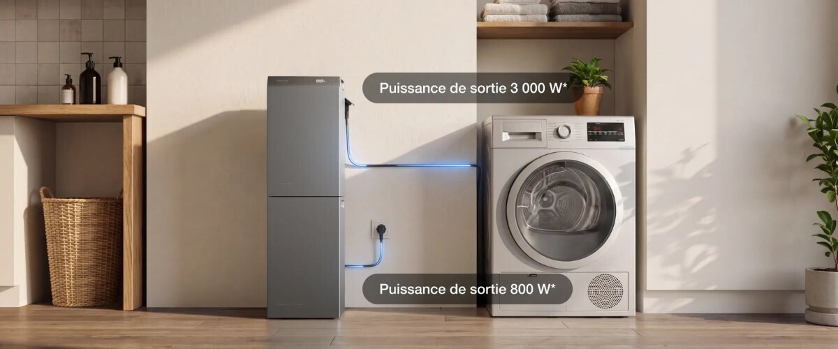 Puissance de sortie de 3 000 W pour alimenter les gros appareils du foyer